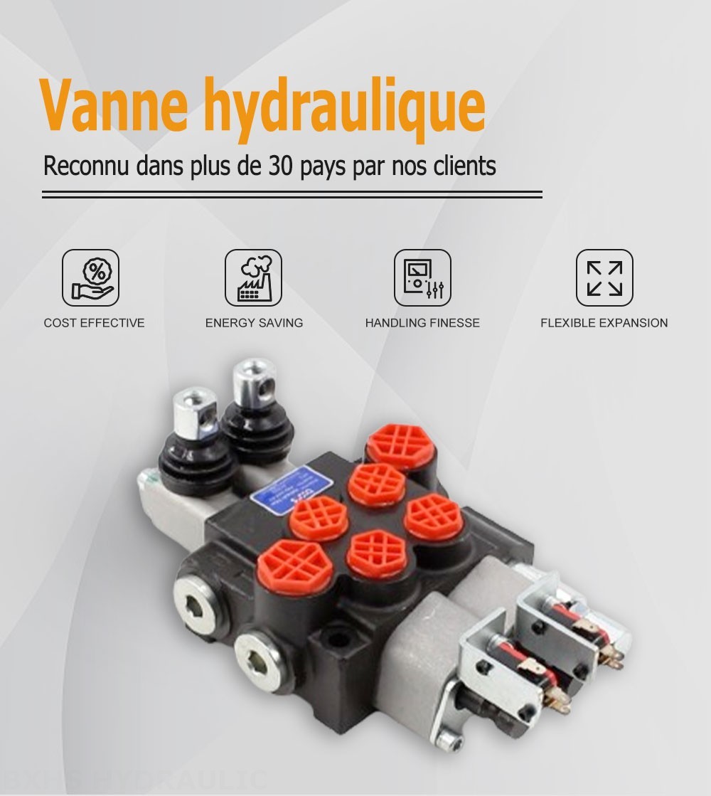 P40 Micro Switch Manuel 2 distributeurs Distributeur directionnel monobloc